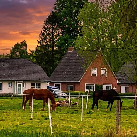 Ferienwohnung, 