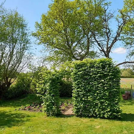 Ferienwohnung, 